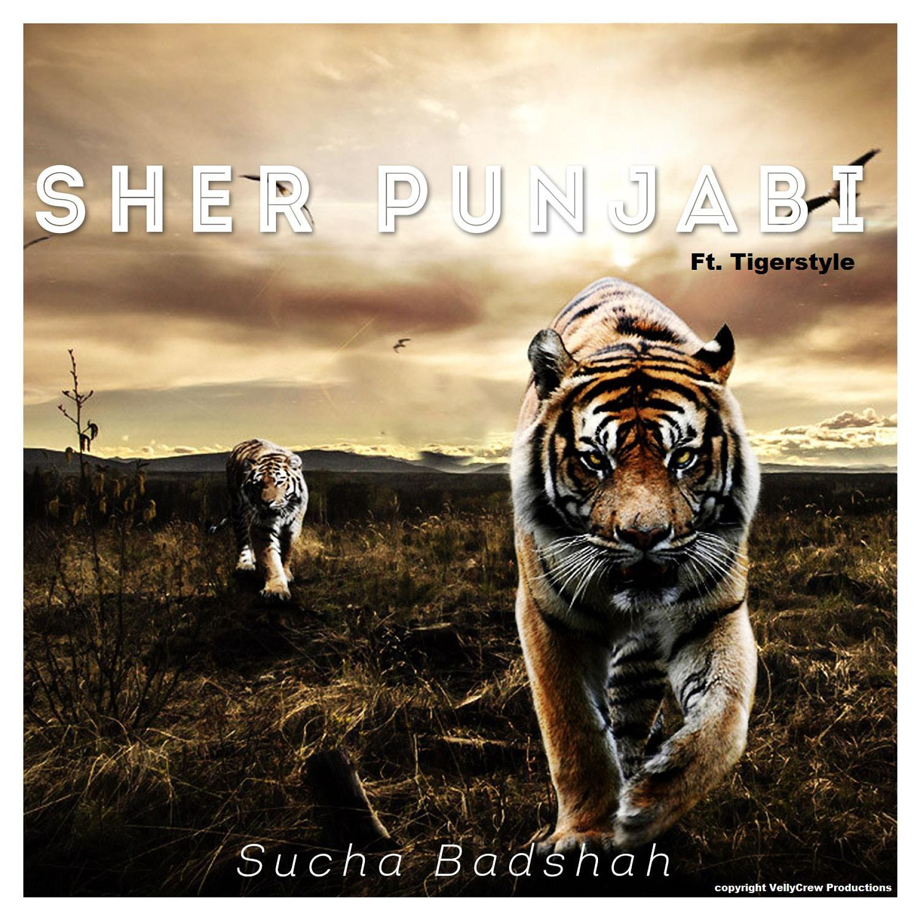 Photo of Sucha Badshah – Sher Punjabi (Out Now)