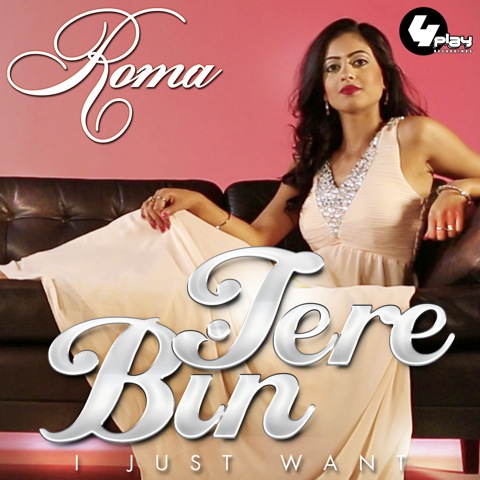 Photo of Roma ft Rishi Rich – Tere Bin (Out now)