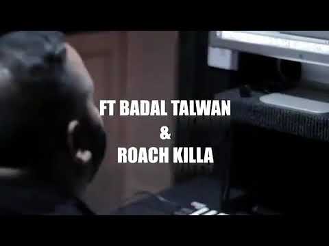 Photo of Dj Dips Ft Badal Talwan & Roach Killa – Yaaria (Full Video)